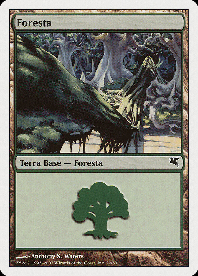 Forest (Salvat 2005)