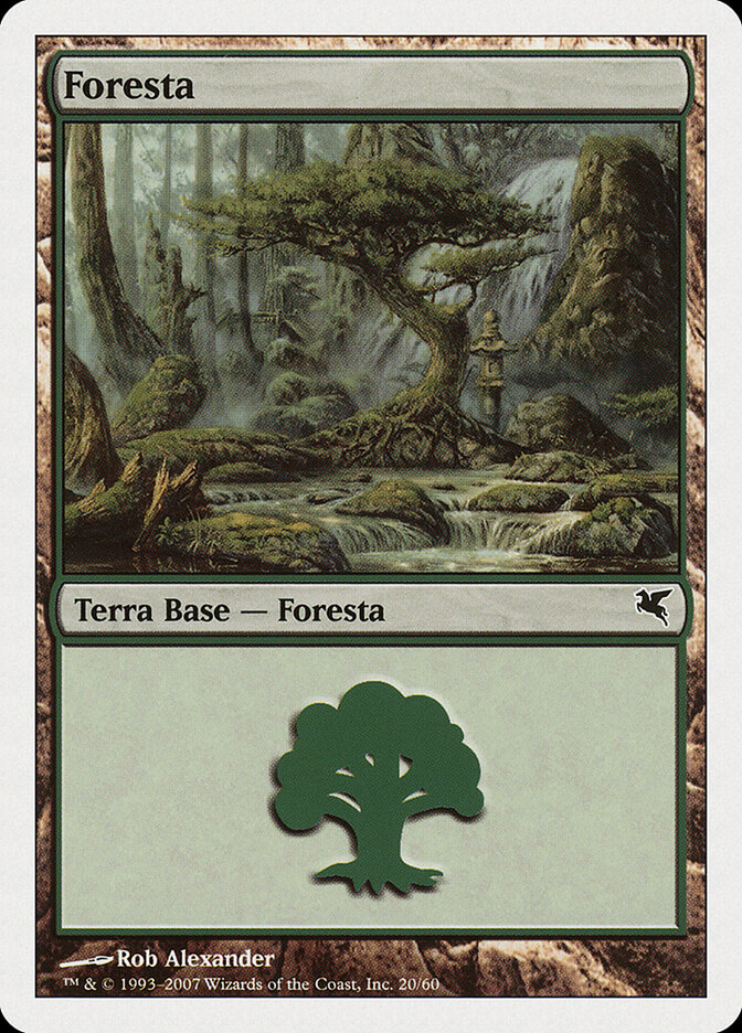 Forest (Salvat 2005)