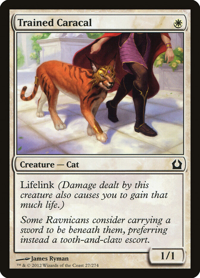 Trained Caracal (Return to Ravnica)