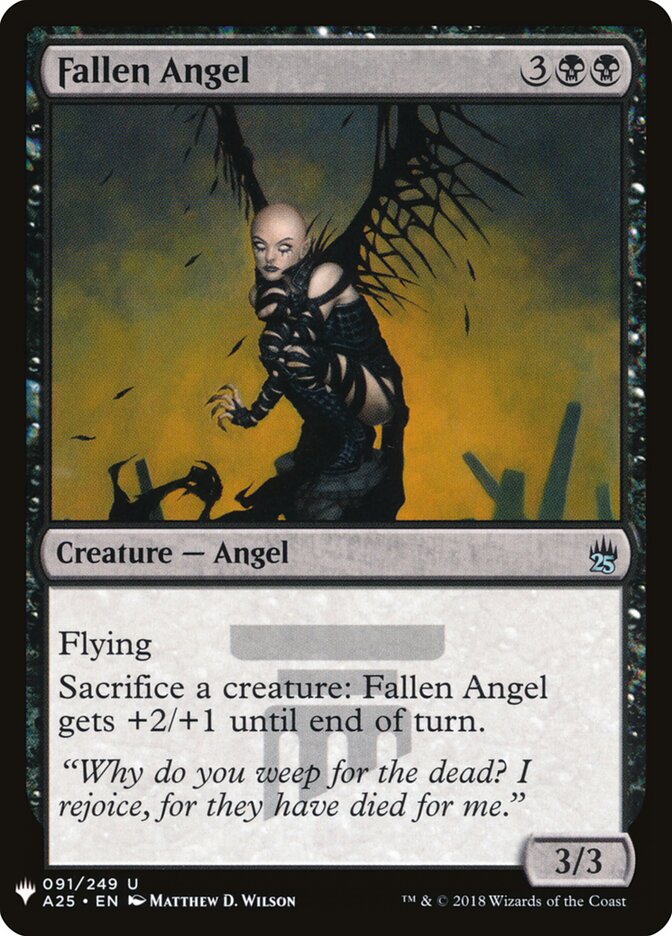 Fallen Angel (The List)