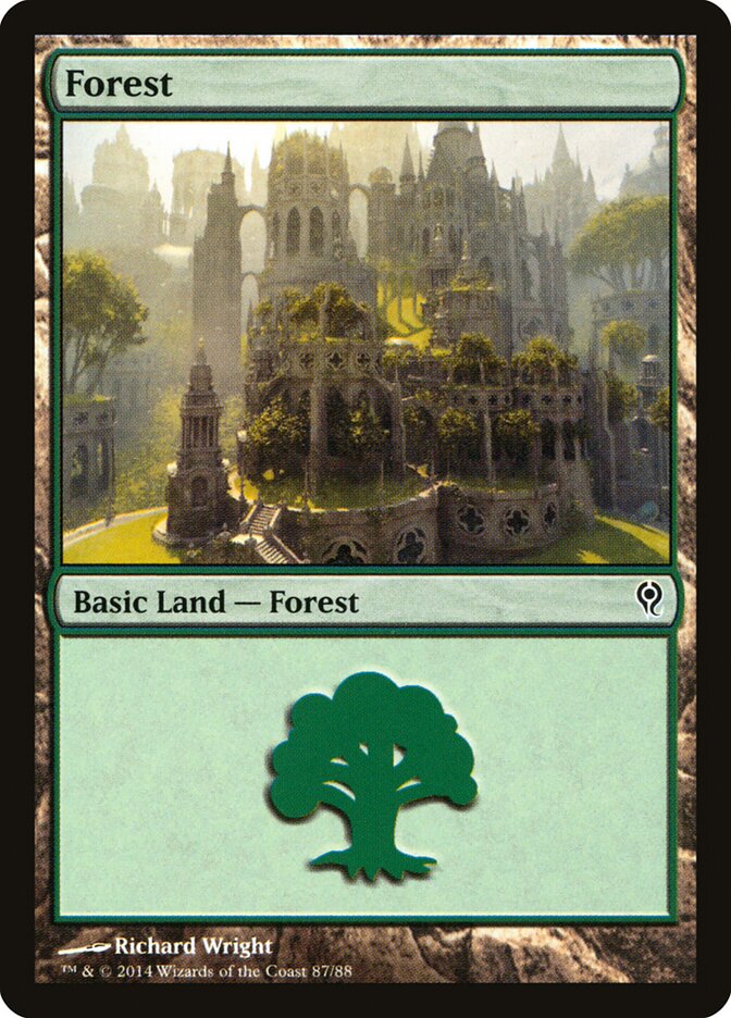 Forest (Duel Decks: Jace vs. Vraska)