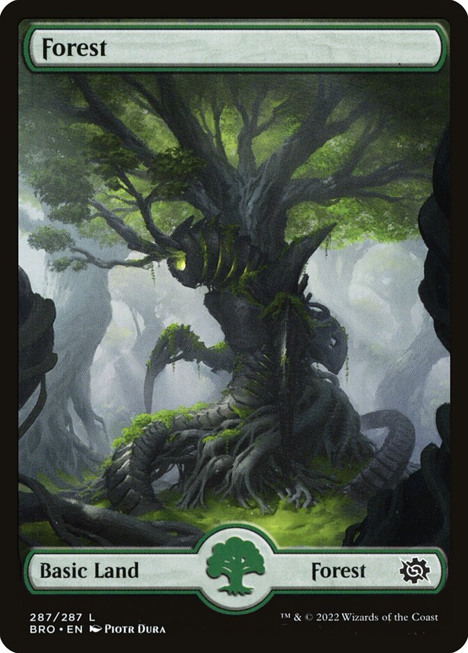 Forest (The Brothers' War)