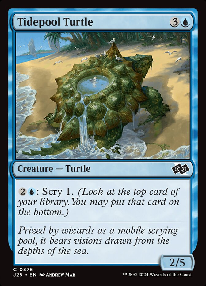 Tidepool Turtle (Foundations Jumpstart)
