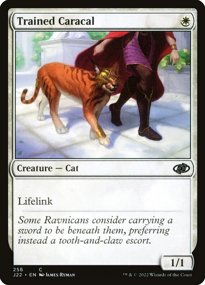 Trained Caracal (Jumpstart 2022)