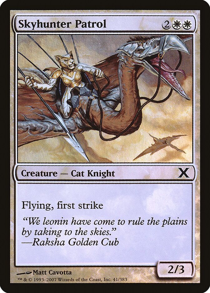 Skyhunter Patrol (Tenth Edition)