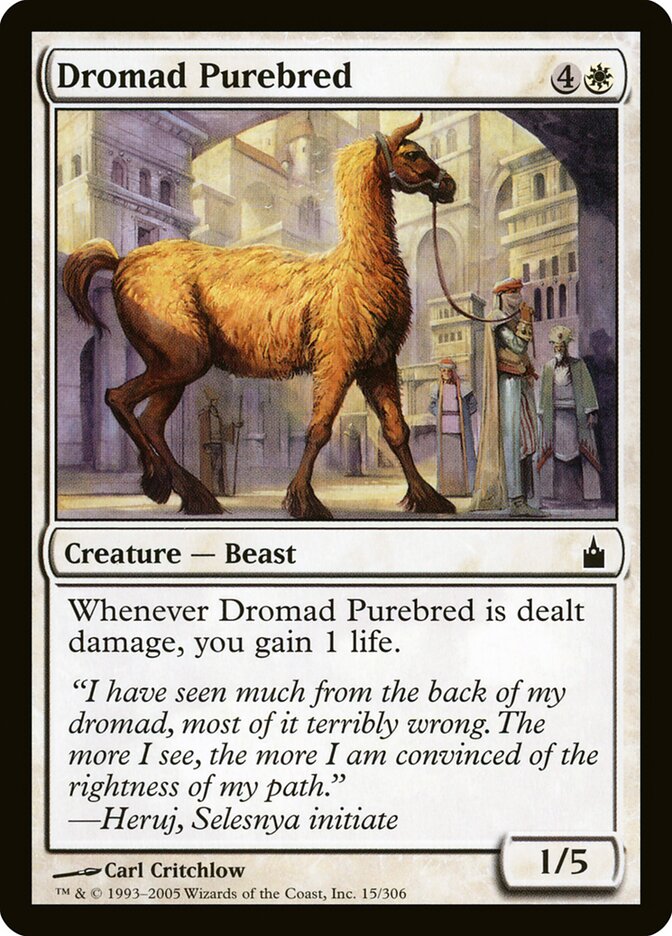 Dromad Purebred (Ravnica: City of Guilds)