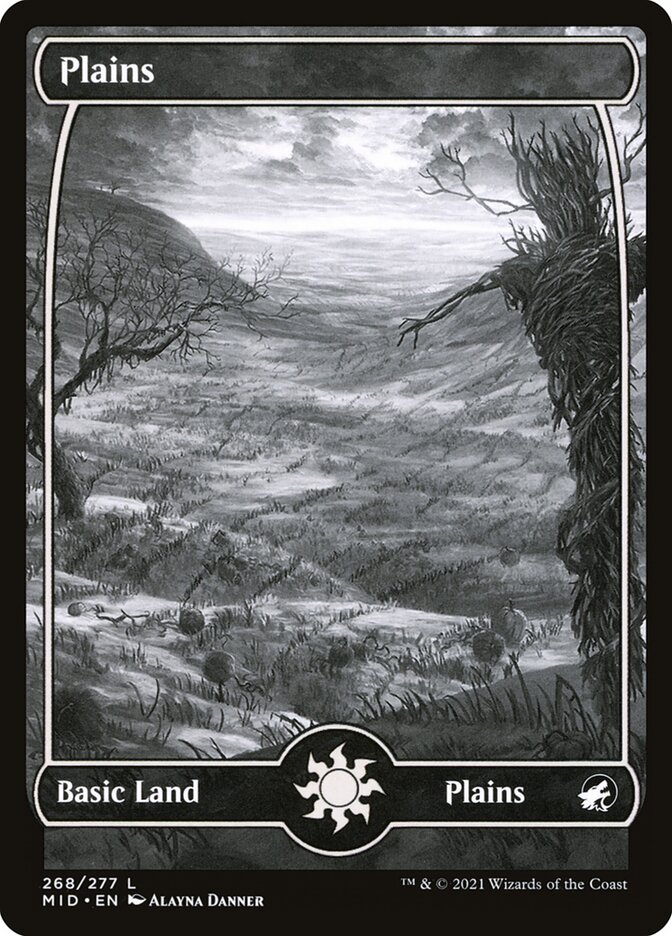 Plains (Innistrad: Midnight Hunt)