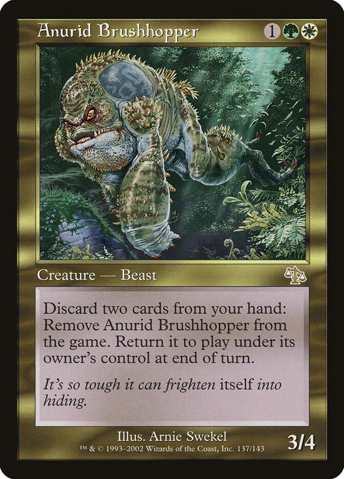 Anurid Brushhopper (Judgment)