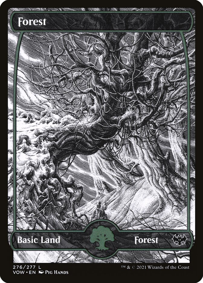 Forest (Innistrad: Crimson Vow)