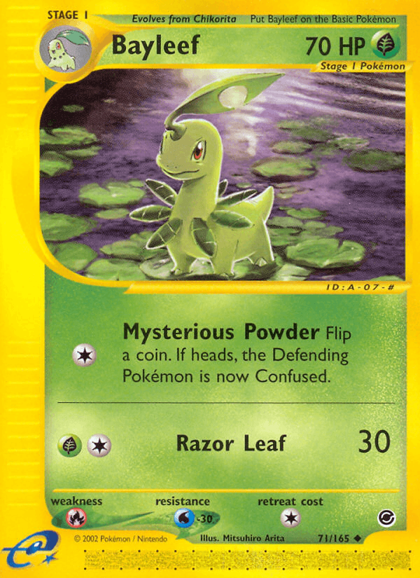 Bayleef (Expedition)