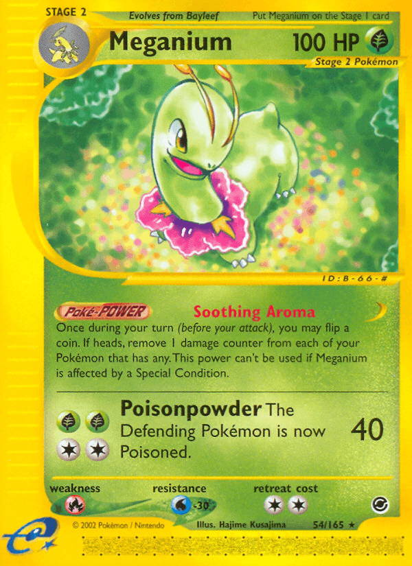 Meganium (54) (Expedition)