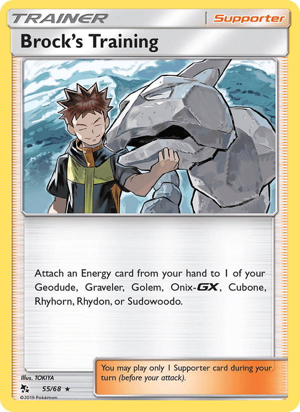 Brock's Training (Hidden Fates)