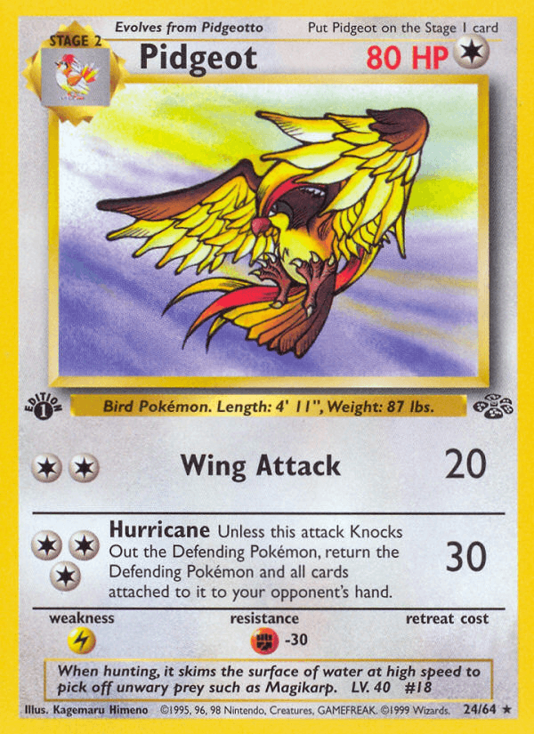 Pidgeot (24) (Jungle)