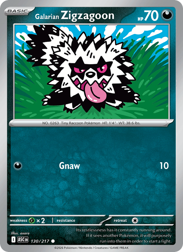 Galarian Zigzagoon (ME: Ascended Heroes)