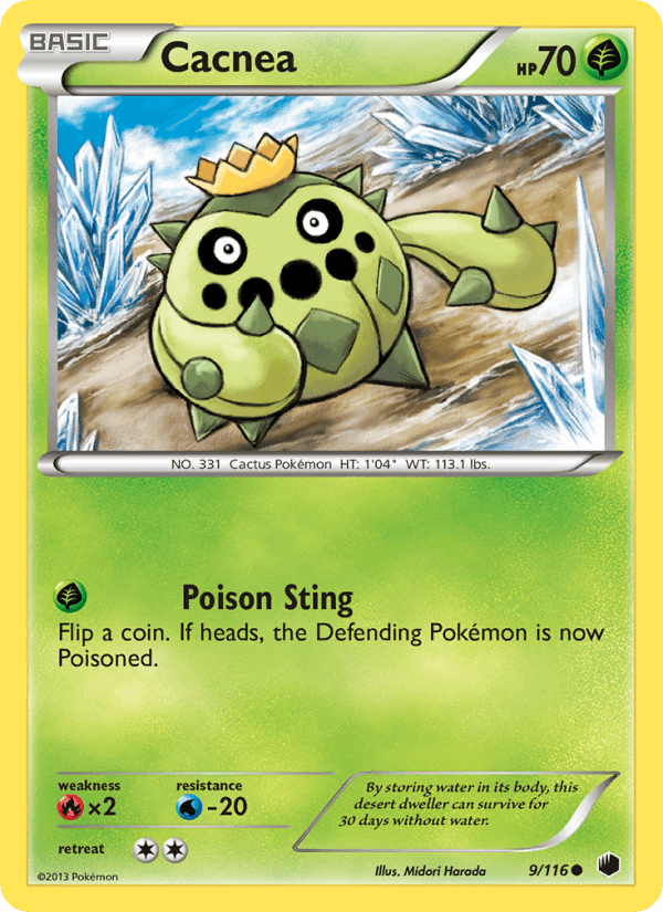 Cacnea (Plasma Freeze)