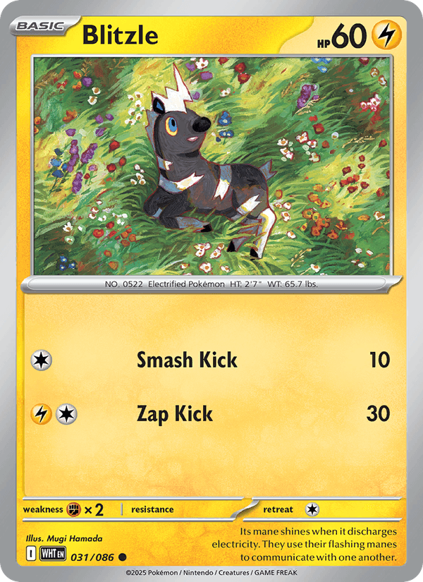 Blitzle (Master Ball Pattern) (SV: White Flare)