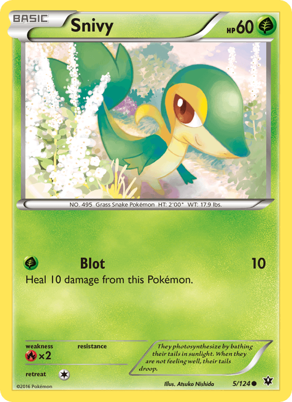 Snivy (XY - Fates Collide)
