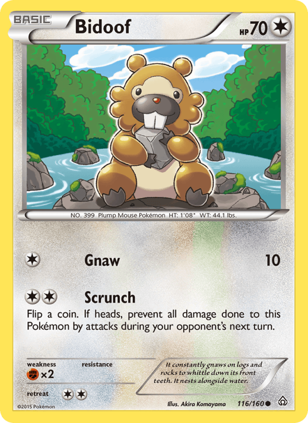 Bidoof (XY - Primal Clash)