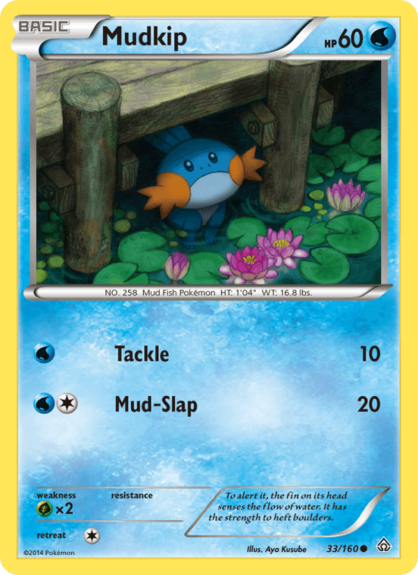 Mudkip (XY - Primal Clash)